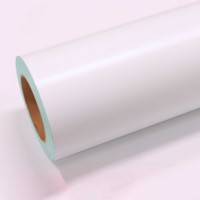 Vinilo Oracal 651-10 White Matte (126cm)